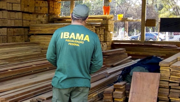 Ibama e Polícia Federal interditam 12 madeireiras