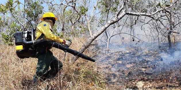 Força-Tarefa combate 14 incêndios