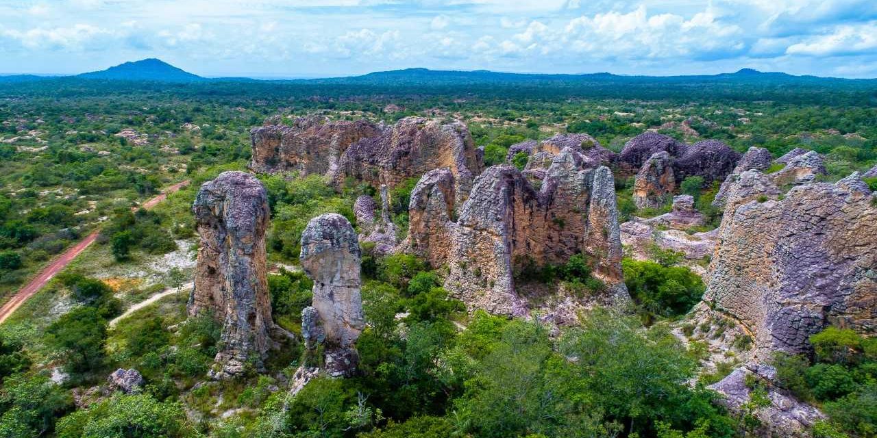 Parque ganha aplicativo criado por aluno